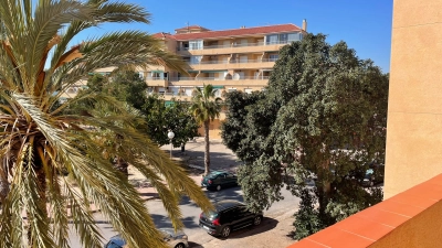 More photos