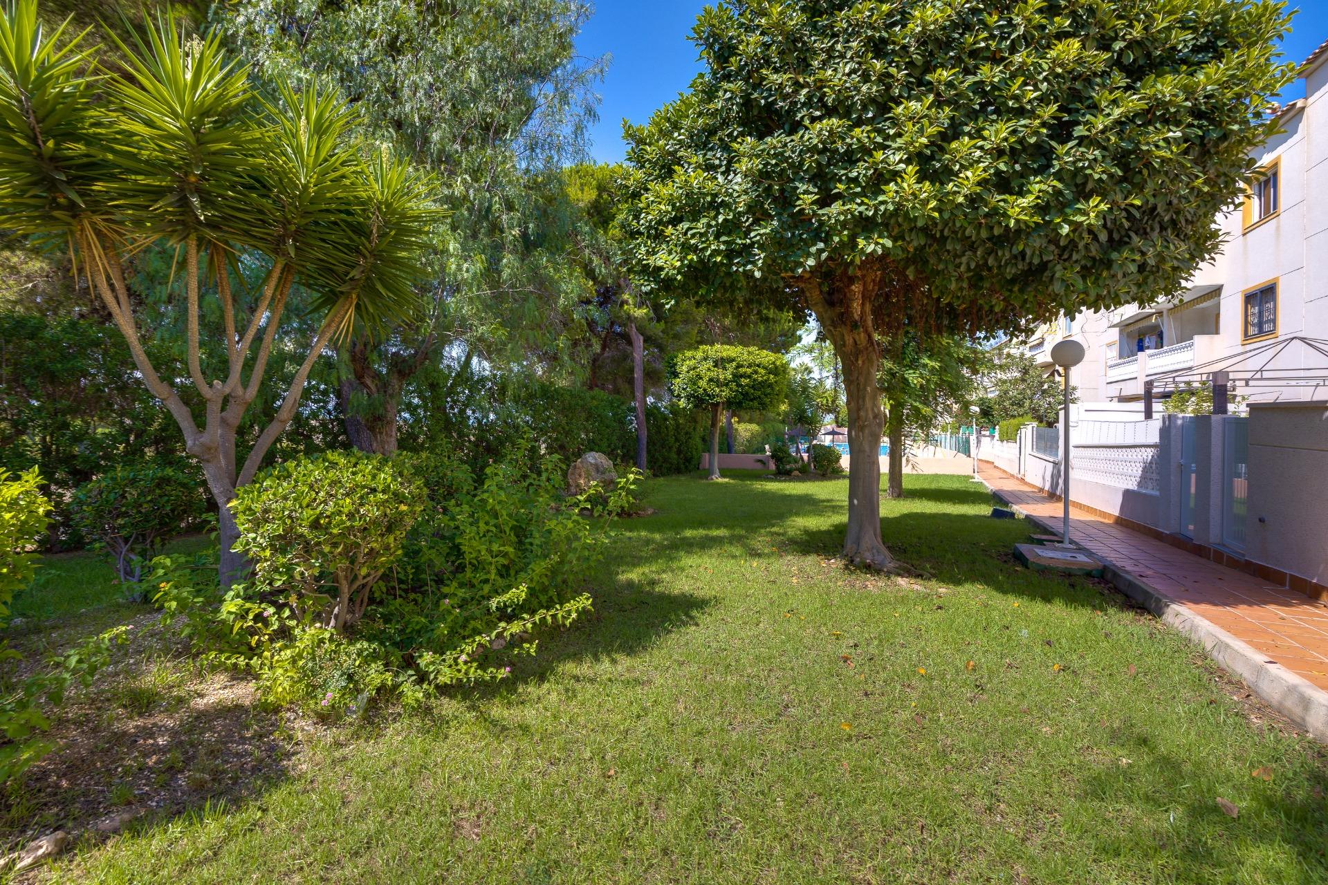 More photos