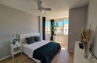 More photos