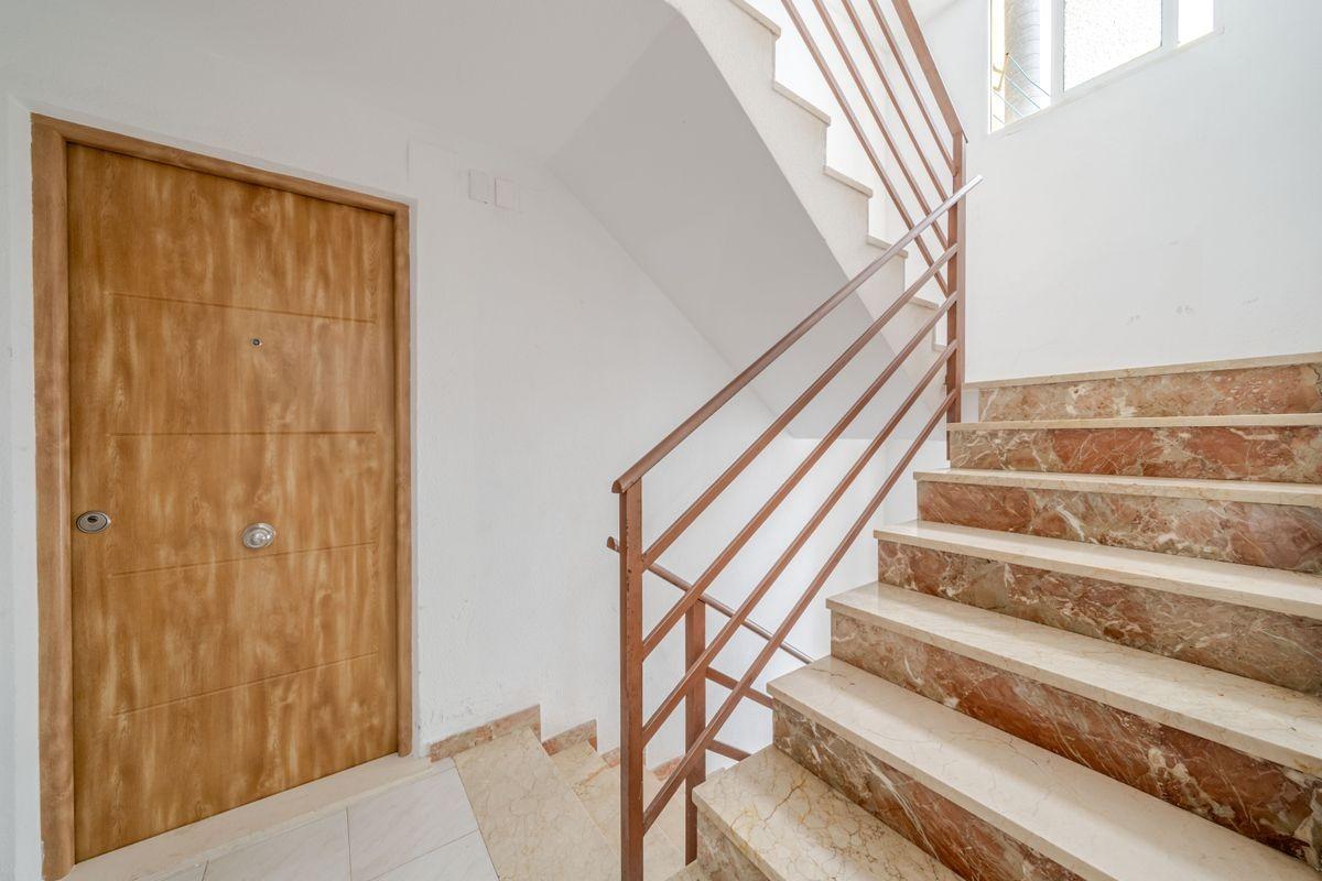 More photos